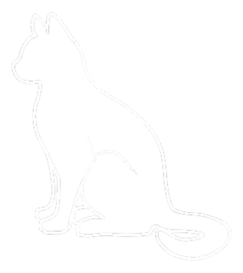 Animal Companion artwork